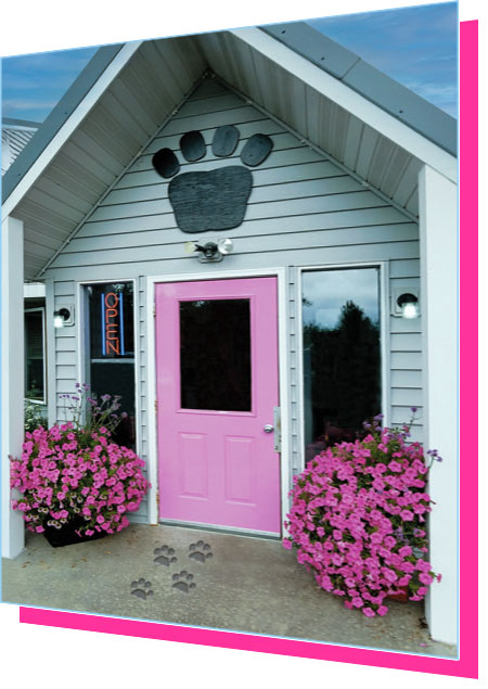 Front Entrance - Northwoods Humane Society