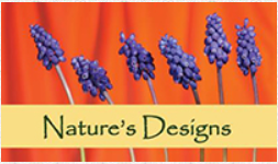 Nature's Designs
