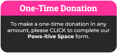 Paws-itive Space single-donation-northwoods-humane-society